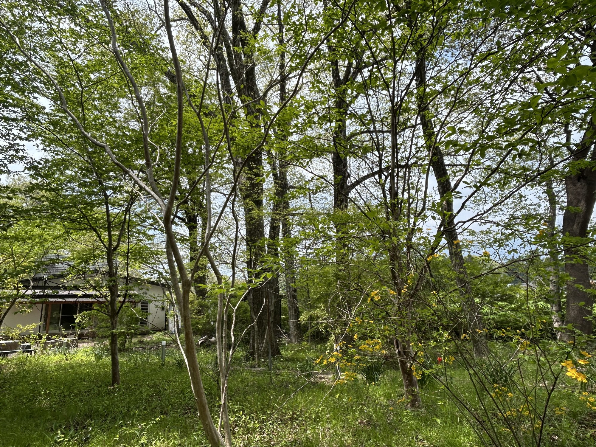 木立に佇む施設の建物
